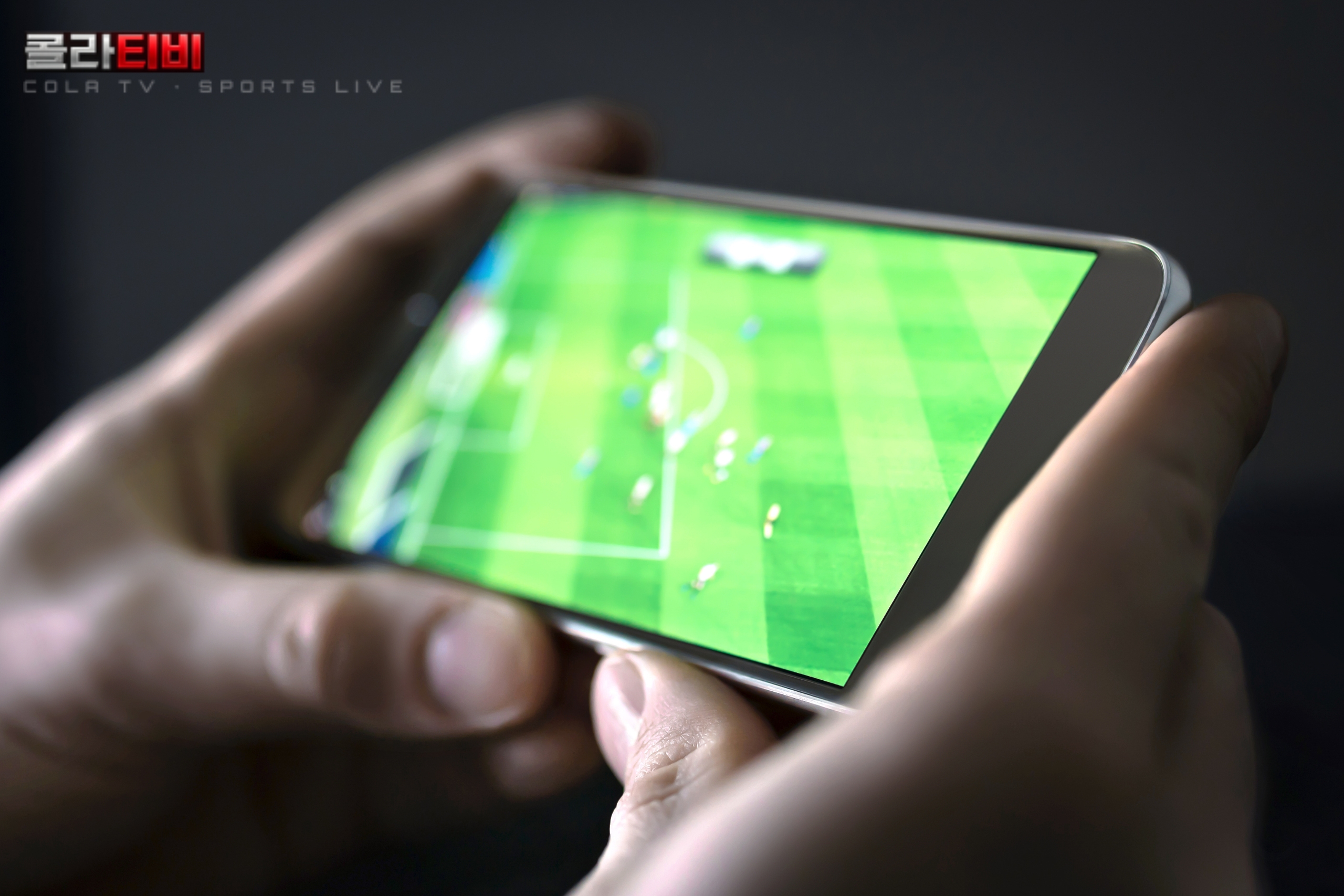 specs-sports.com